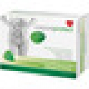 CORPORE DIET Corpore Protect con aloe vera, anís verde, hino 8.25 €