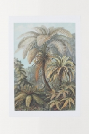  Póster 8.99 €