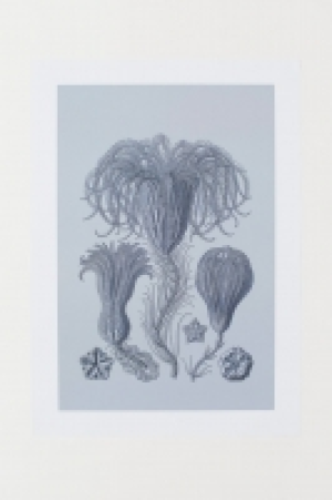  Póster 6.99 €