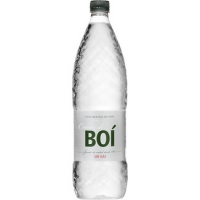 Hipercor  CALDES DE BOI agua mineral natural botella 1,5 l