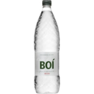 CALDES DE BOI agua mineral natural botella 1,5 l