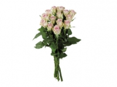 Ramo de rosas 3.99 €