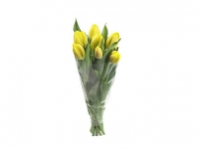 Ramo de tulipanes 1.99 €