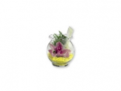 Orquídea en jarrón 1.99 €