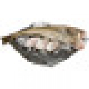 Hipercor  Bacalao noruego Skrei por medios o enteros peso pieza 3-4 kg