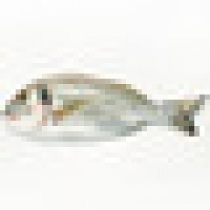 Hipercor  Dorada de estero peso pieza 600-800 g