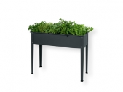 Lidl  Parkside® Arriate elevado