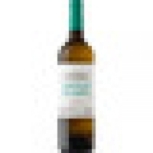 CASTELL DEL REMEI Gotim Blanc vino blanco DO Coster del Segr 5.95 €