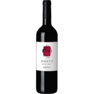 ENATE vino tinto merlot-merlot DO Somontano botella 75 cl