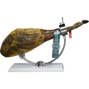 CASTRO Y GONZALEZ jamón de bellota ibérico 50% raza ibérica