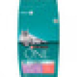 PURINA ONE DELICATE SENSITIVE ADULT pienso especial para gat 7.02 €