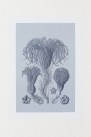 Póster 5.99 €