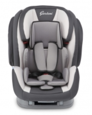 SILLA DE AUTO EVOLUTION 1-2-3