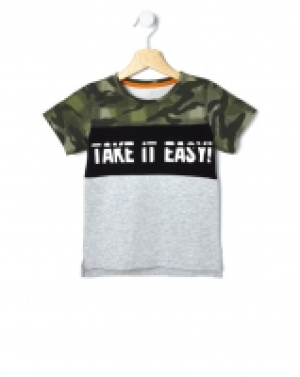 CAMISETA ESTAMPADA 11.19 €