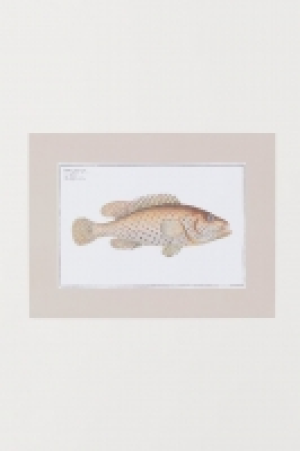 Póster 4.99 €