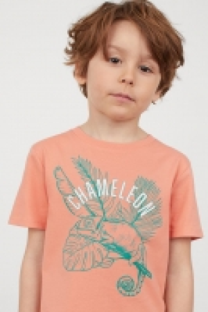 Pack de 2 camisetas de algodón 5.99 €