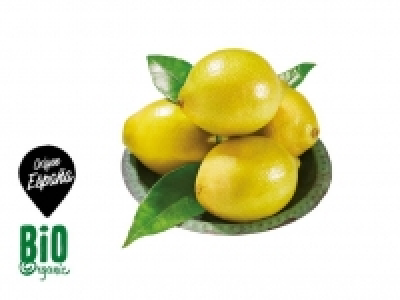 Limón 500.00 €