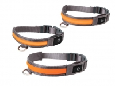 Lidl  Collar ajustable LED para perro