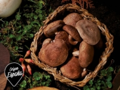 Lidl  Setas Shiitake