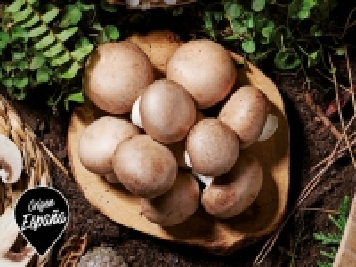 Champiñón Portobello 250.00 €