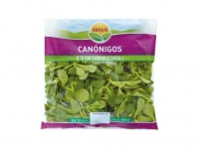 Canónigos 100.00 €