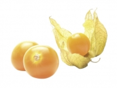 Physalis 100.00 €