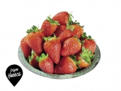 Fresa 500.00 €