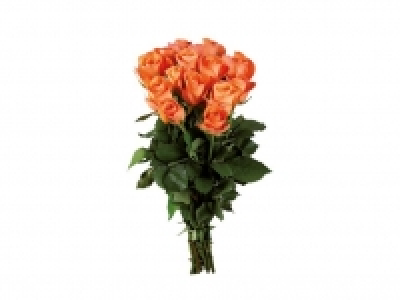 Ramo de rosas 4.49 €