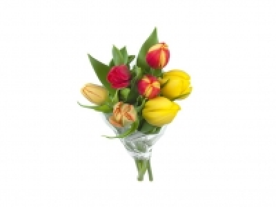 Ramo de tulipanes 1.99 €