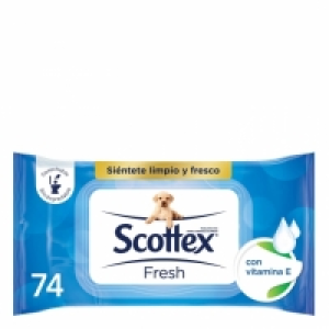 Carrefour  Papel higiénico húmedo Fresh Jumbo Scottex 74 ud.