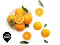 Lidl  Naranja de mesa con hoja