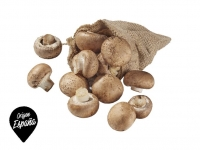 Champiñón Portobello 250.00 €