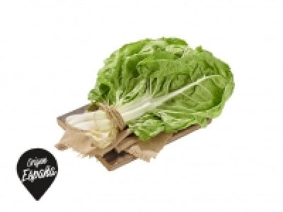 Lidl  Acelga