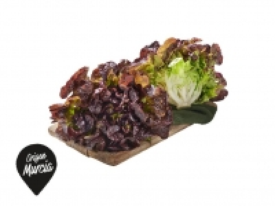 Lidl  Lechuga Hoja de Roble