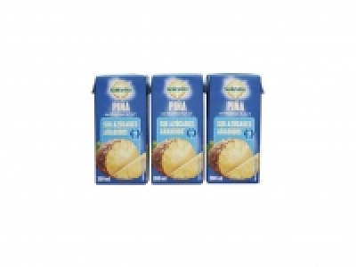 Bebida de piña sin azúcar añadido 0.89 €