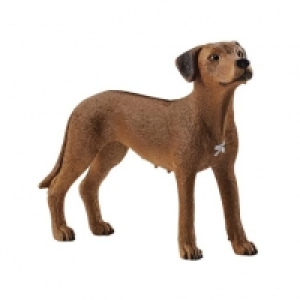 Toysrus  Schleich - Perro Crestado Rodesiano