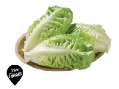 Cogollo 0.95 €