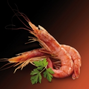 Gambón Austral crudo supergrande Premium 19.99 €