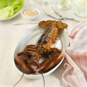 Bogavante crudo 9.99 €