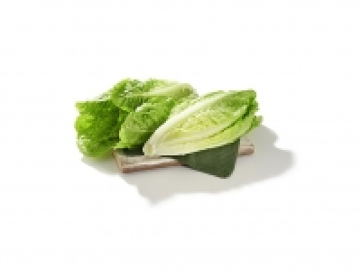 Lidl  Lechuga romana