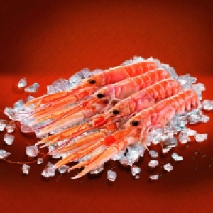 Cigala grande 19.99 €