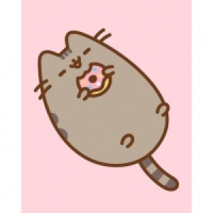 Toysrus  Pusheen - Canvas 20 x 25 cm Sweet Moments