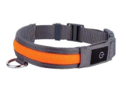 Lidl  Collar para perro LED