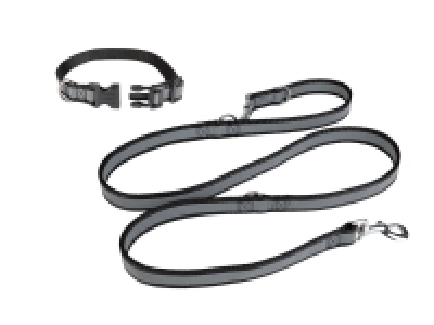 Correa para perro con collar 9.99 €