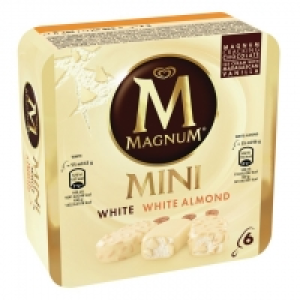 Magnum mini blanc mix Frigo 2.99 €