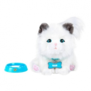 Toysrus  Little Live Pets - Sleepy Kitty