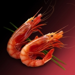 Gamba roja grande Premium 29.99 €