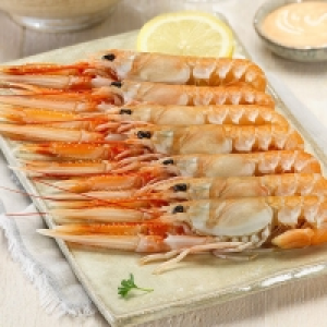 Cigala mediana 17.99 €
