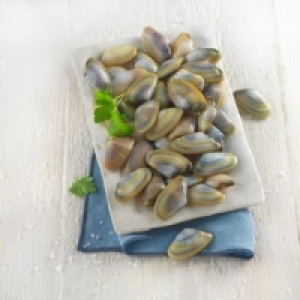 Coquina 16.99 €