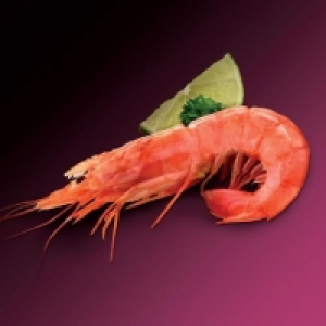 Gambón Austral crudo gigante Premium 24.99 €